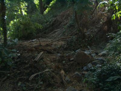 gaston_trail_work