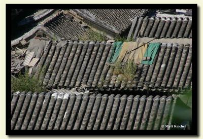 Hu Tong Roofs