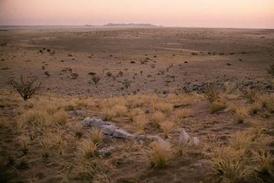 Namib Desert, after sunset, 1997