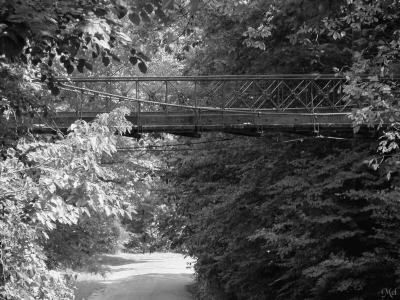 Bridge in park B-W.jpg(291)