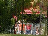 A peek inside the Zoo fence.jpg(204)
