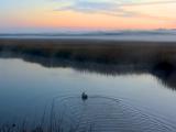 Egans Creek by Bruce Jones