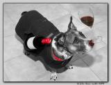 + Keep Your Eyes On The Glass by John down under