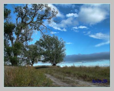 lonely road