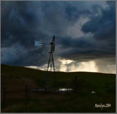 peace in the storm