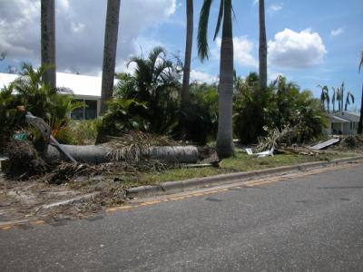 DSCN0729.JPG