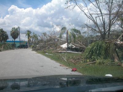 DSCN0733.JPG