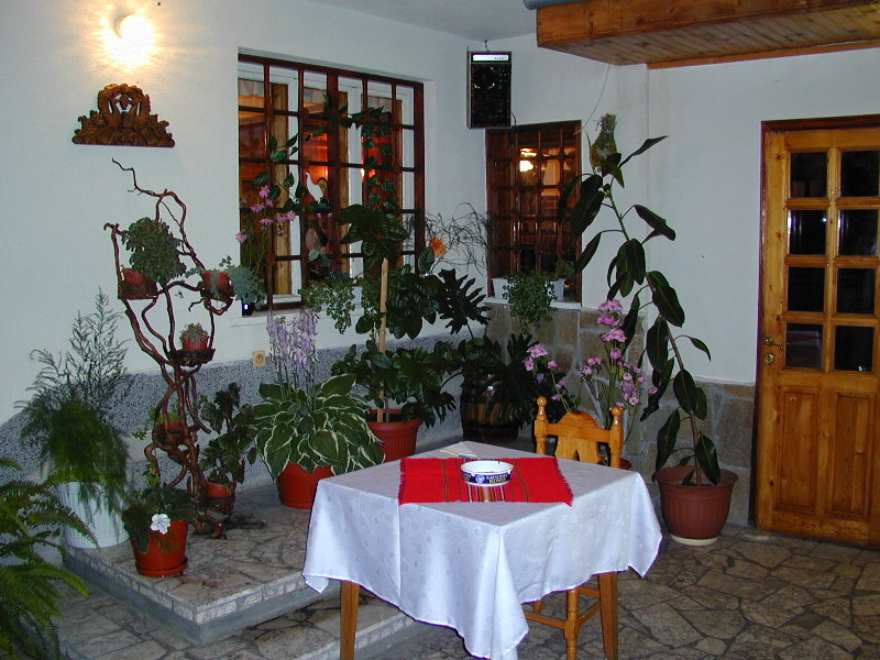 P8242646.JPG