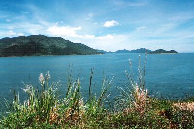 u41/nguyenlang/medium/39557360.vietnam59.jpg
