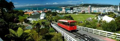 wellington