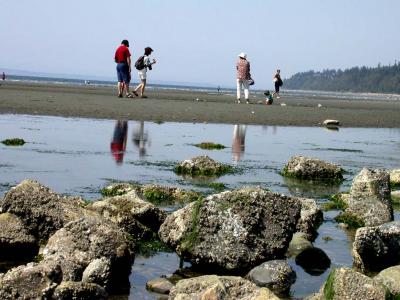 u41/nwblaw/medium/33492236.Beach5075.jpg
