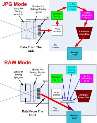 u41/otfchallenge/medium/26726700.RAW.jpg