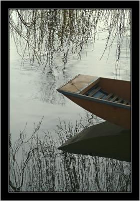 punt reflection.jpg