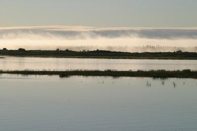 u41/paullantz/medium/33223901.1024fm2004Aug30am010.jpg