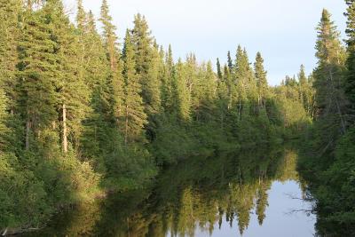 Butler Creek south of rail bridge, Moosonee