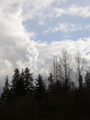 P2280046.jpg