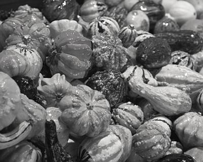 Gourds