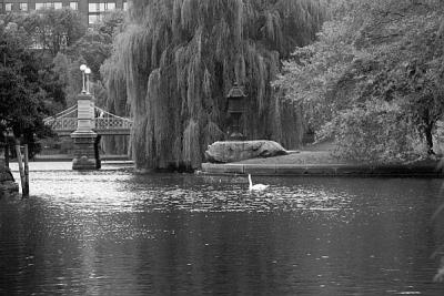 The Commons