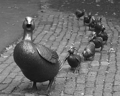 Make Way for Ducklings