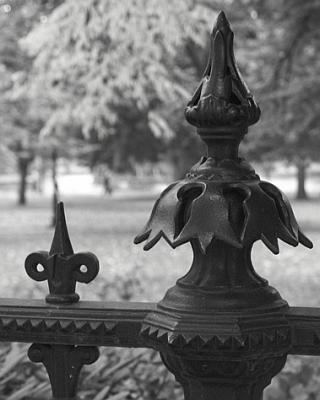 Fence