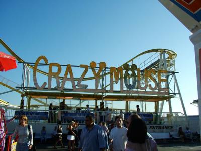 The Crazy Mouse!!