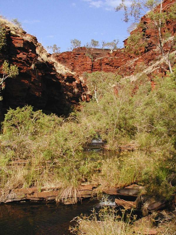 PA100079.jpg