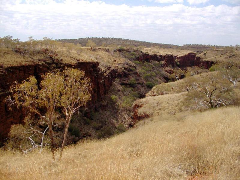 PA100090.jpg