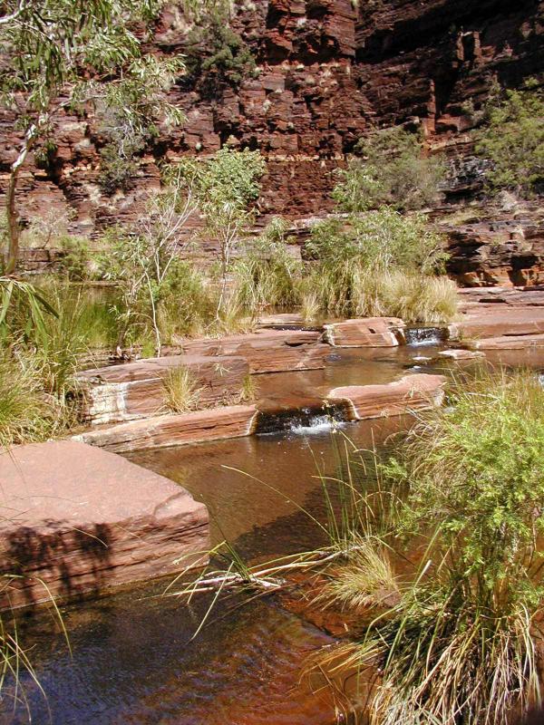 PA110002.jpg