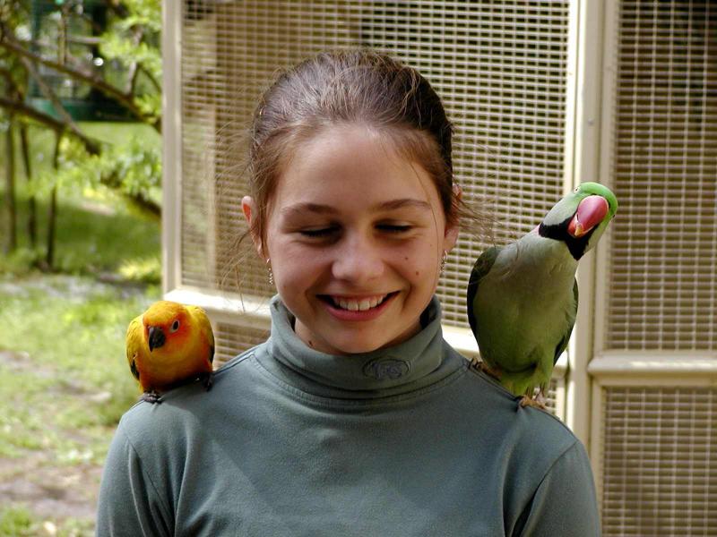 Mika and Parrots