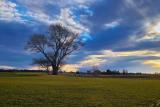 Rural Canterbury