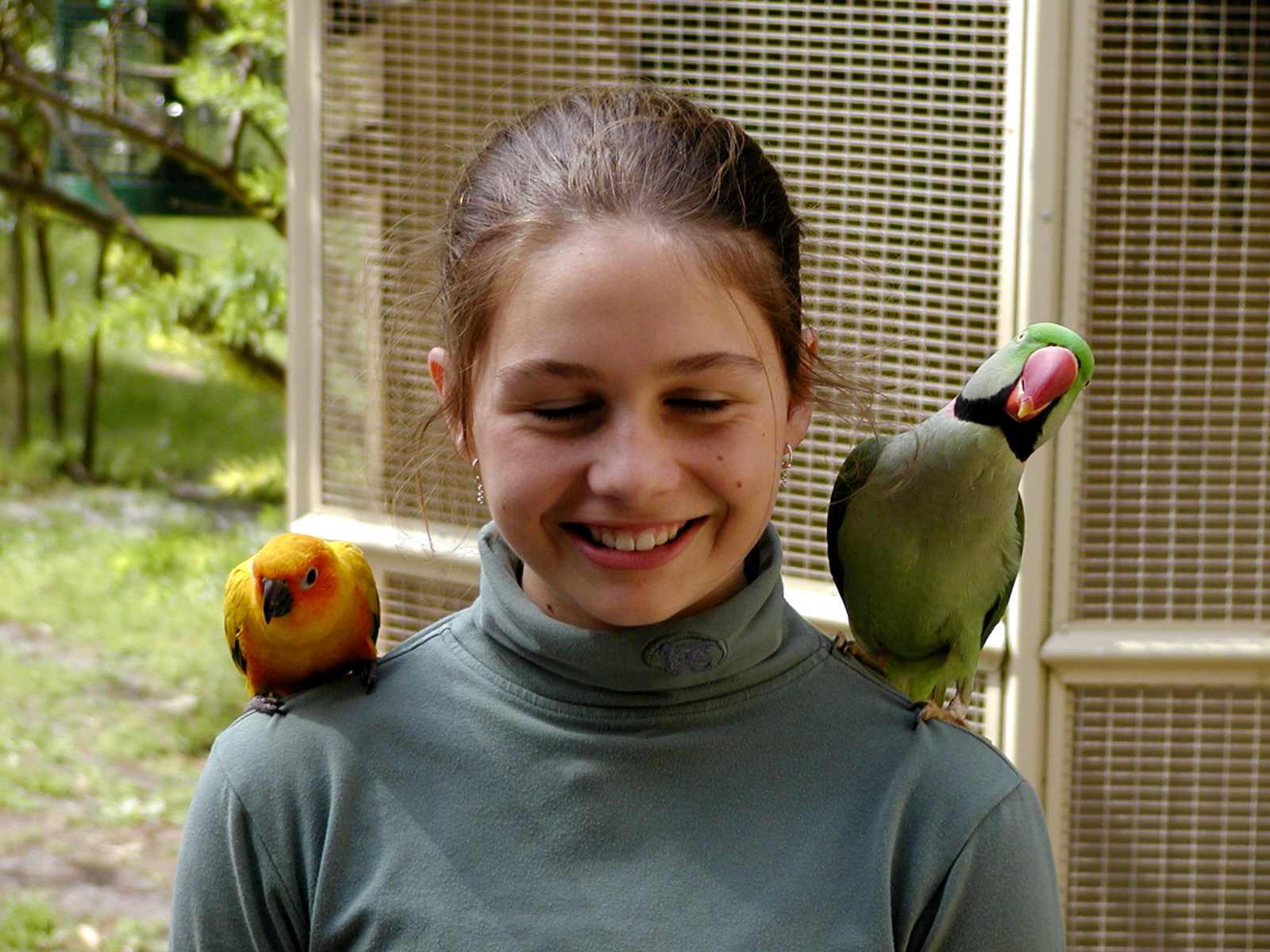 Mika and Parrots