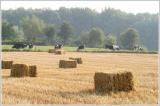 5 aug. 2003 Crapoul 03