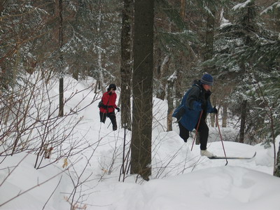 uqam0048_resize.JPG