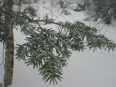 uqam0054_resize.JPG