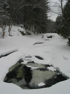 uqam0099_r1_resize.jpg