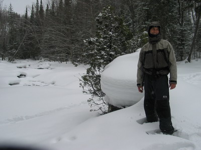 u41/pfmerlin/upload/26781006.uqam0102_resize.JPG