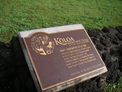 Kauai02229.jpg