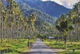 North Sulawesi - West of Manado