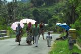 North Sulawesi - Along the Highway