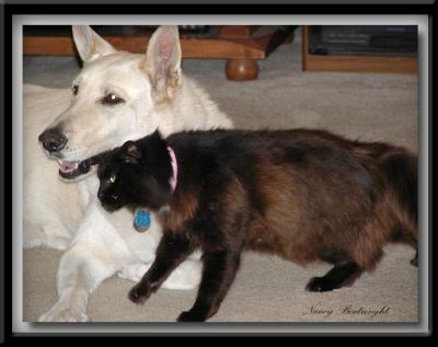 Our Sweet Shadow & Ebony