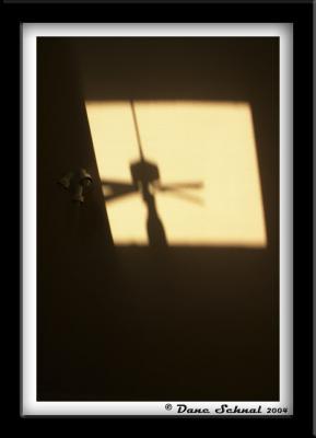 Shadow and Light Sep-5