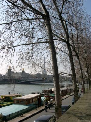 March 2003 - The Seine and Eiffel Tower 75008