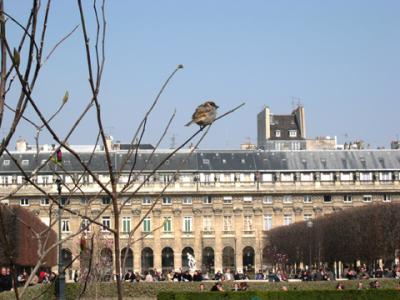 March 2003 - Jardin du Palais Royal 75001