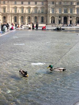 March 2004 - In front Louvre Museum 75001