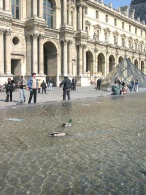 March 2004 - In front Louvre Museum 75001