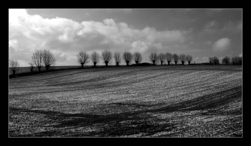 paysage ftiche sous la neige