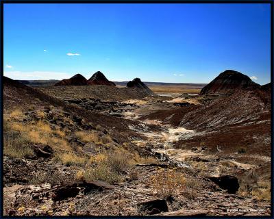 Brown Hills