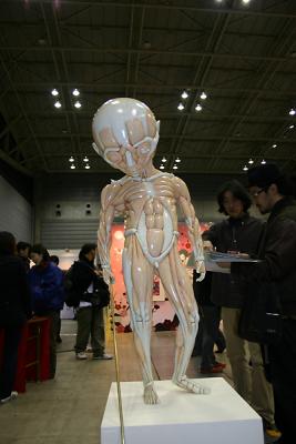 Geisai 5 - Yokohama (Japan)