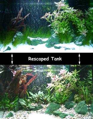 Rescaping