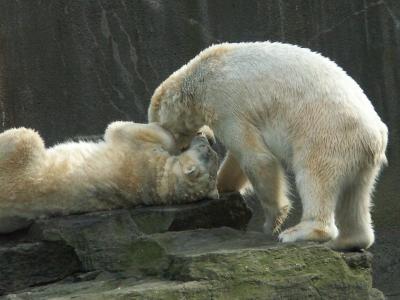 PICT0339.JPG